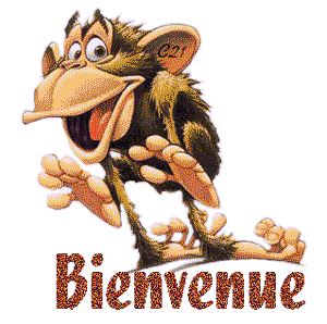 Gif animé bienvenue singe